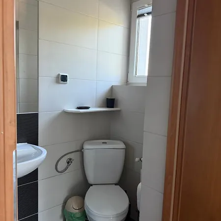 Goscinne A I M Dendys *