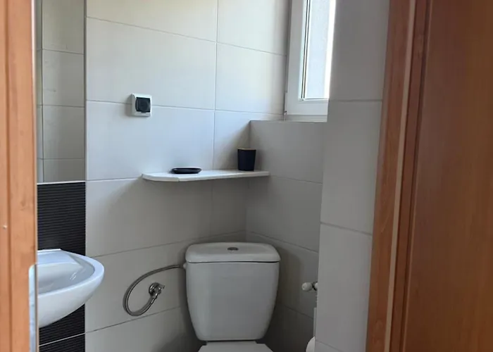 Goscinne A I M Dendys *